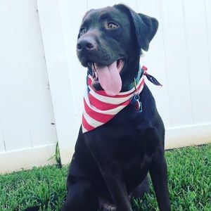 Meet your Posher, Jaycie